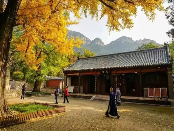 灵岩寺1日主题团活动